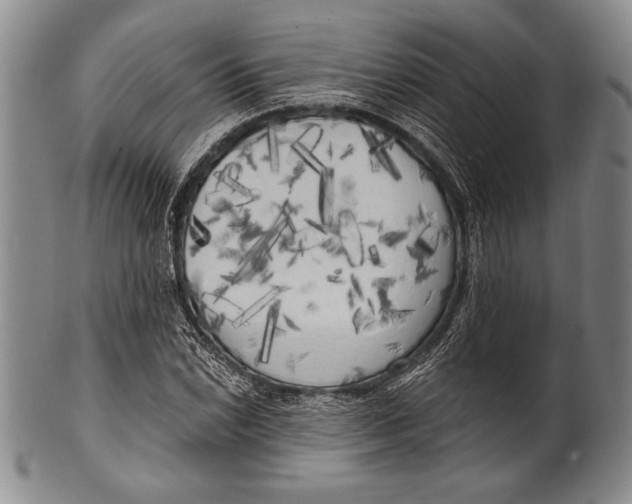 X0000100331022200806261256