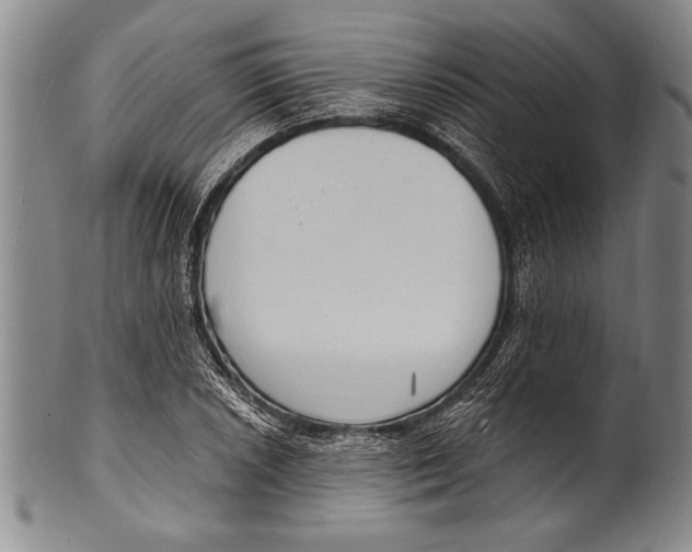 X0000100331026200806261256