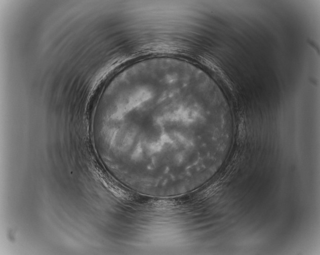 X0000100331027200806261256