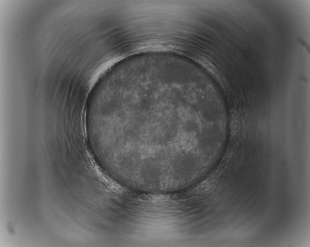 X0000100331030200806261256