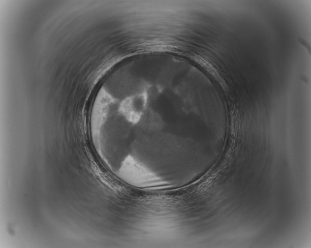 X0000100331031200806261256