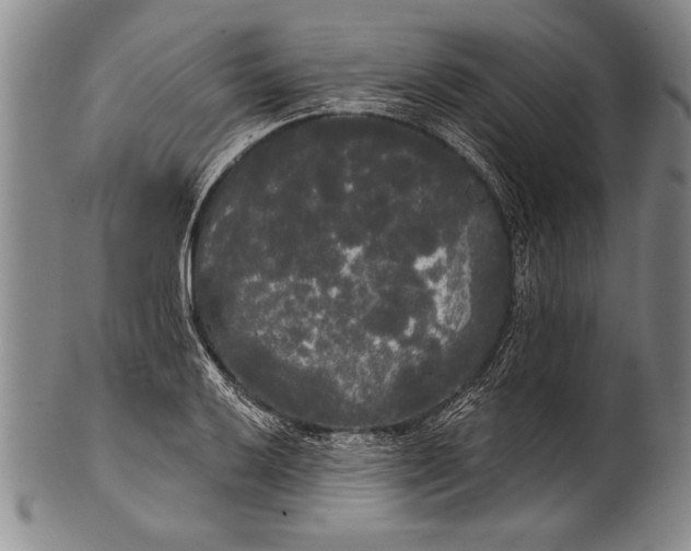 X0000100331032200806261256