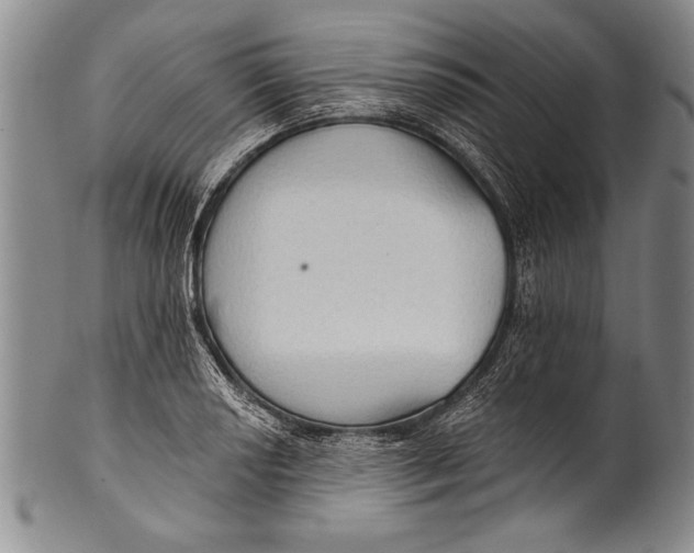 X0000100331034200806261256