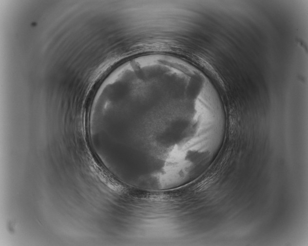 X0000100331035200806261256