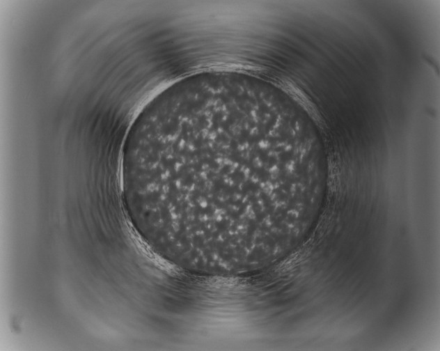 X0000100331036200806261256