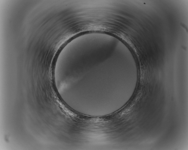 X0000100331037200806261256