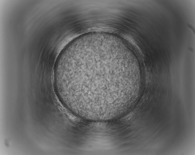 X0000100331040200806261256