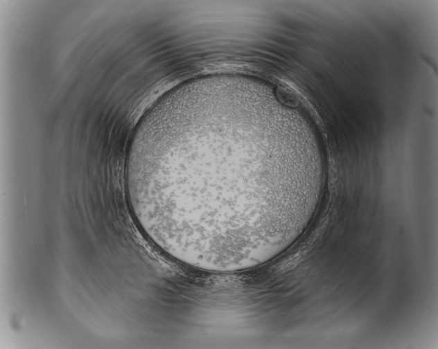 X0000100331041200806261256