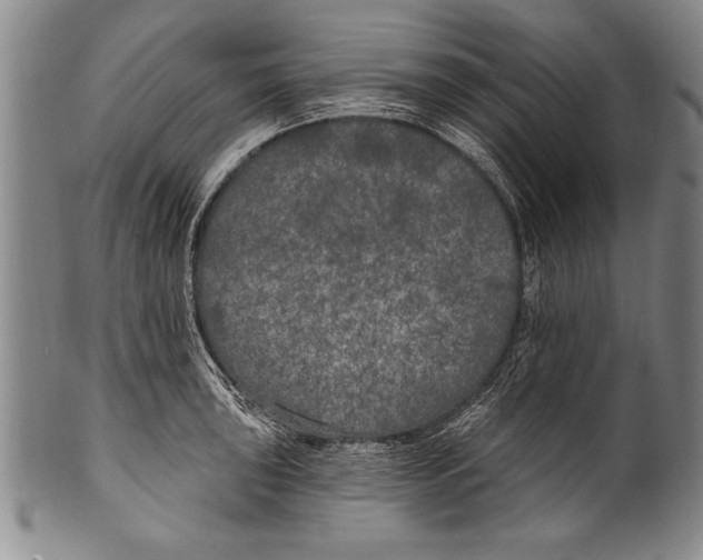 X0000100331043200806261257