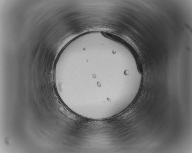 X0000100331044200806261257