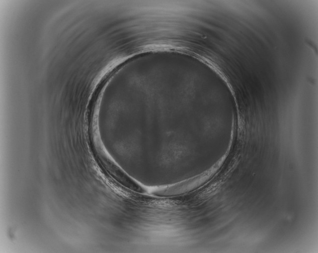 X0000100331045200806261257