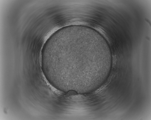 X0000100331046200806261257