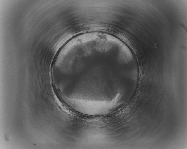 X0000100331047200806261257