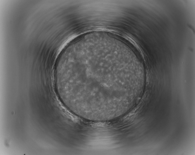 X0000100331048200806261257