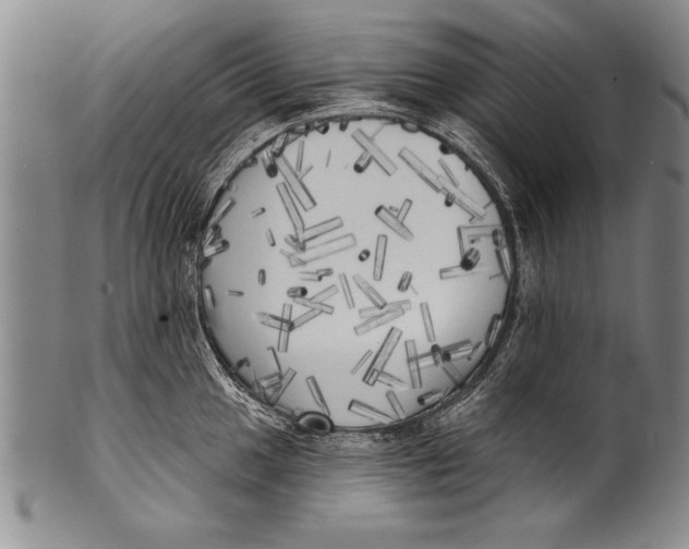 X0000100331049200806261257