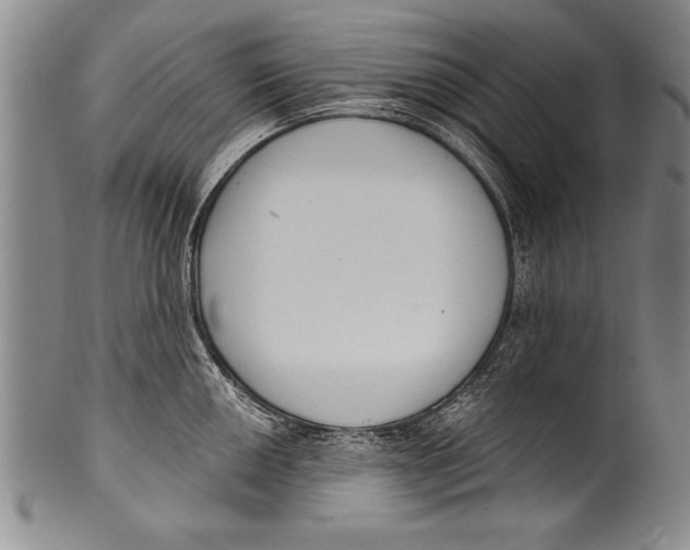 X0000100331050200806261257