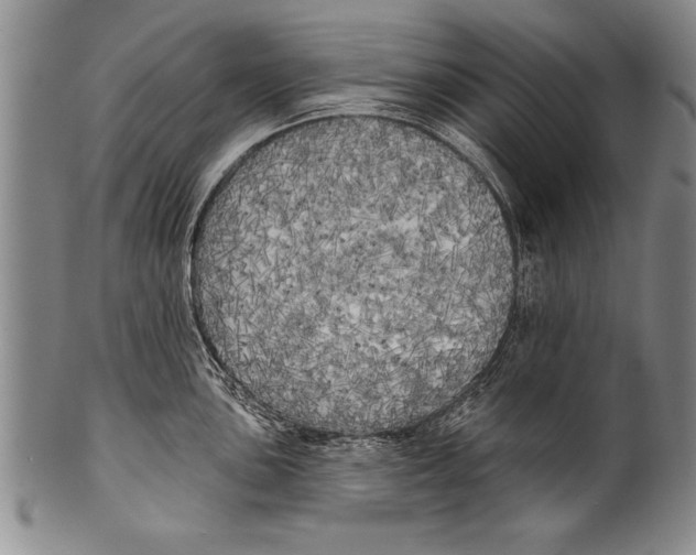 X0000100331051200806261257