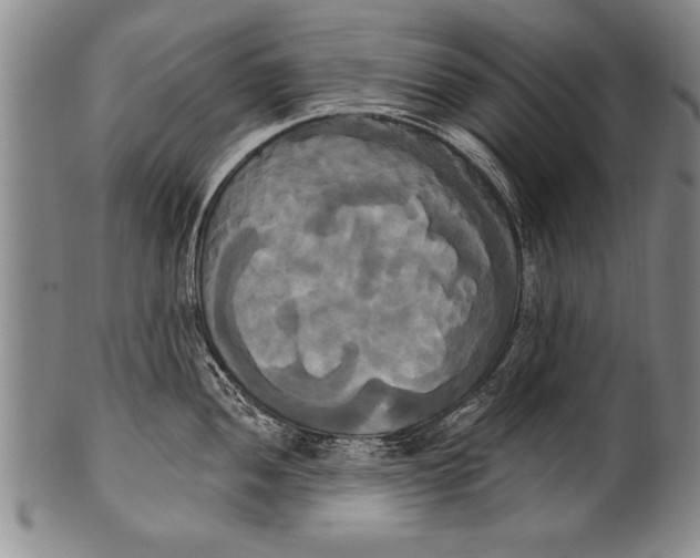 X0000100331052200806261257