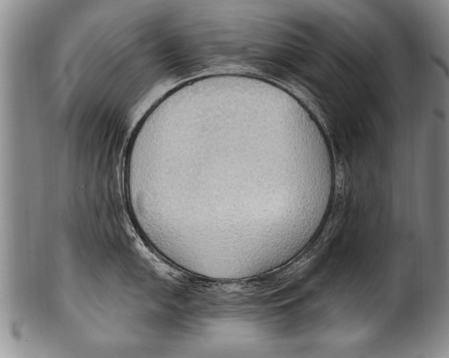 X0000100331054200806261257