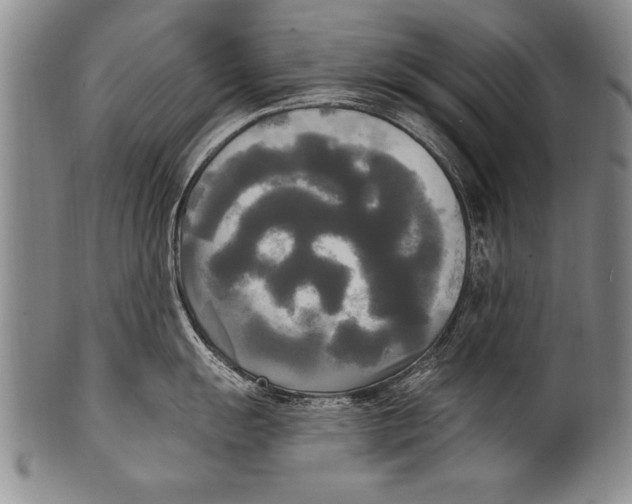 X0000100331055200806261257