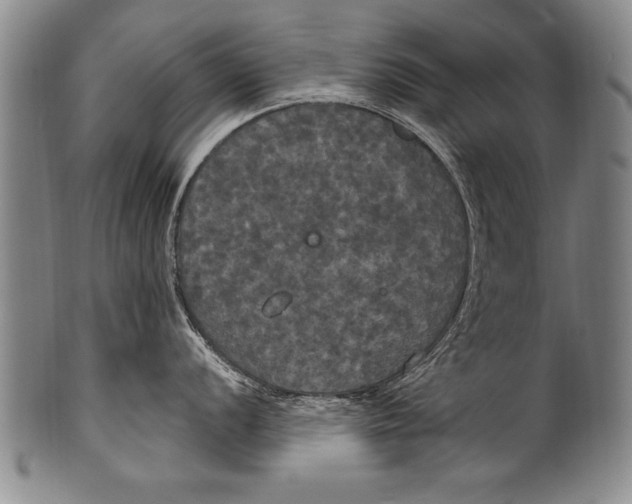 X0000100331056200806261257