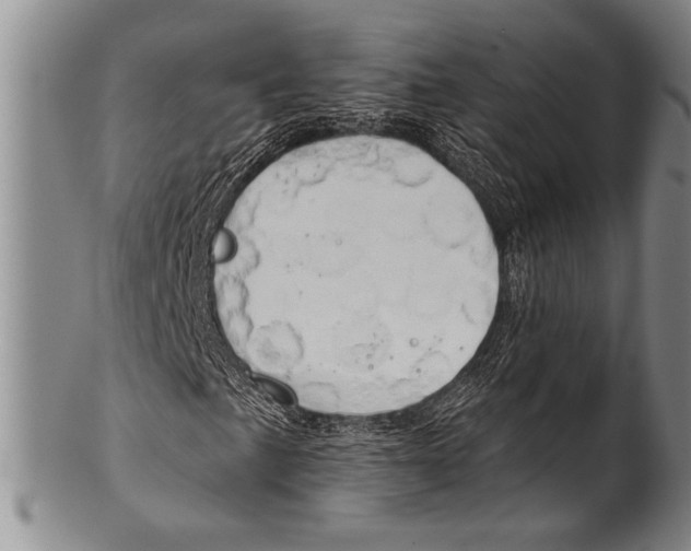 X0000100331057200806261256