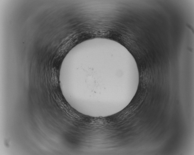 X0000100331058200806261256