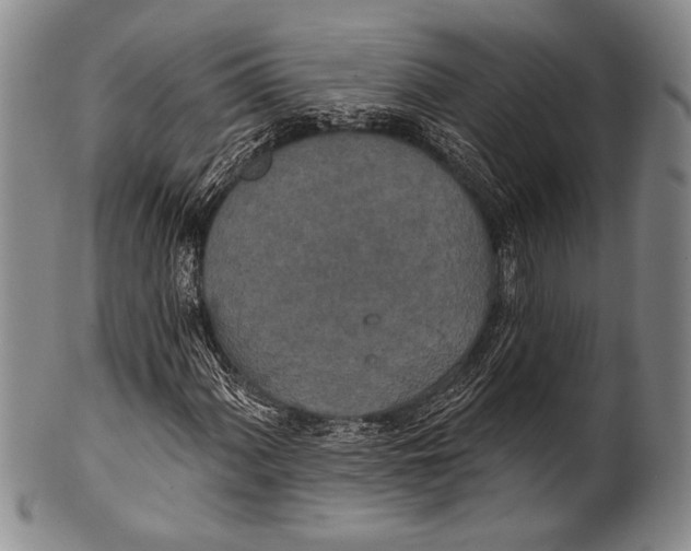 X0000100331060200806261256