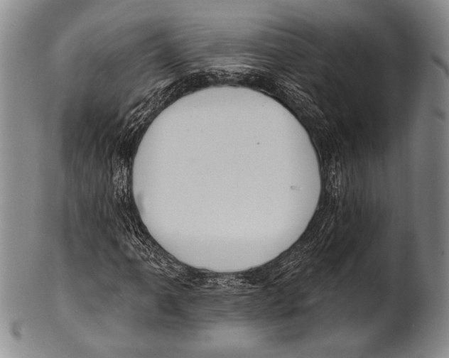 X0000100331061200806261256