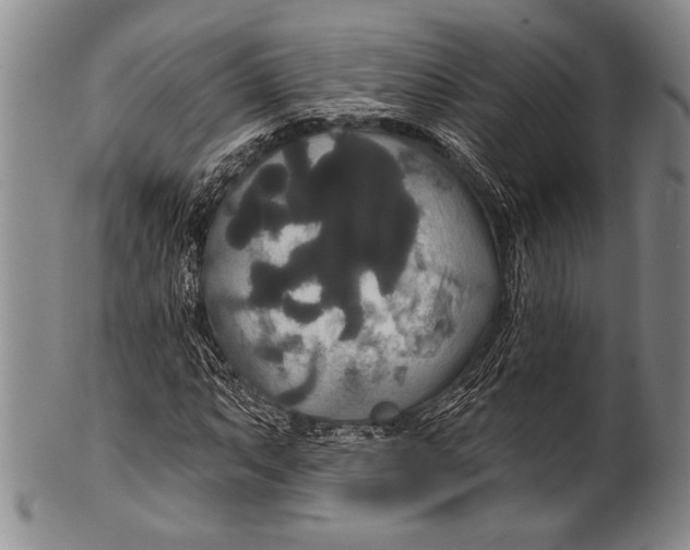 X0000100331063200806261256