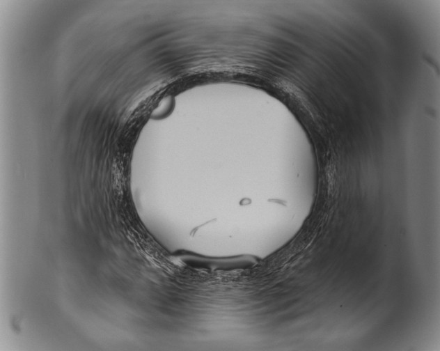 X0000100331064200806261256