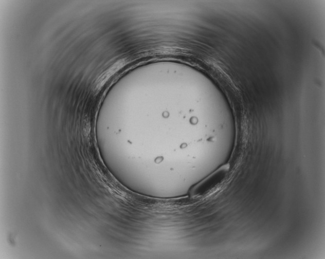 X0000100331065200806261256