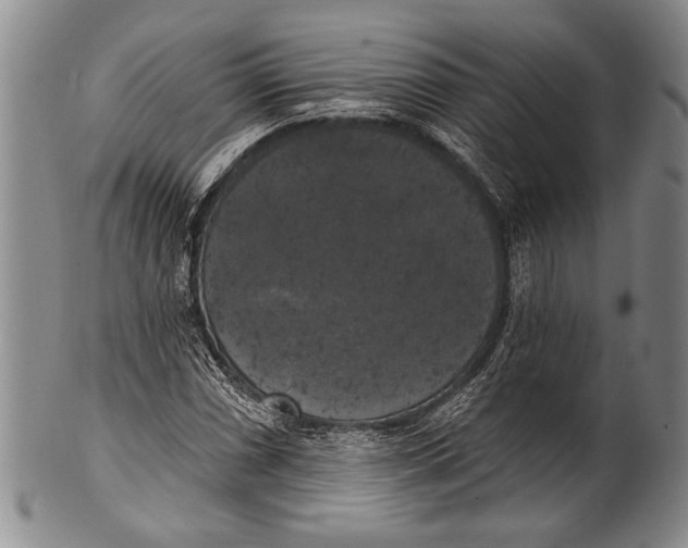 X0000100331066200806261256