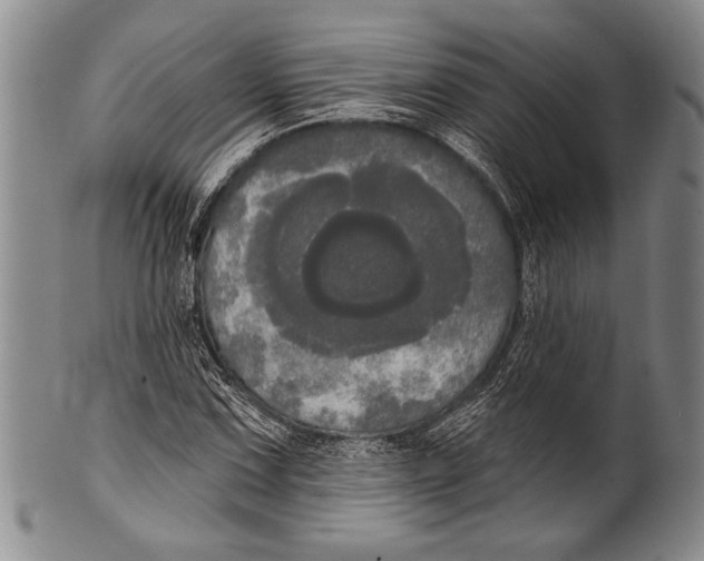 X0000100331067200806261256