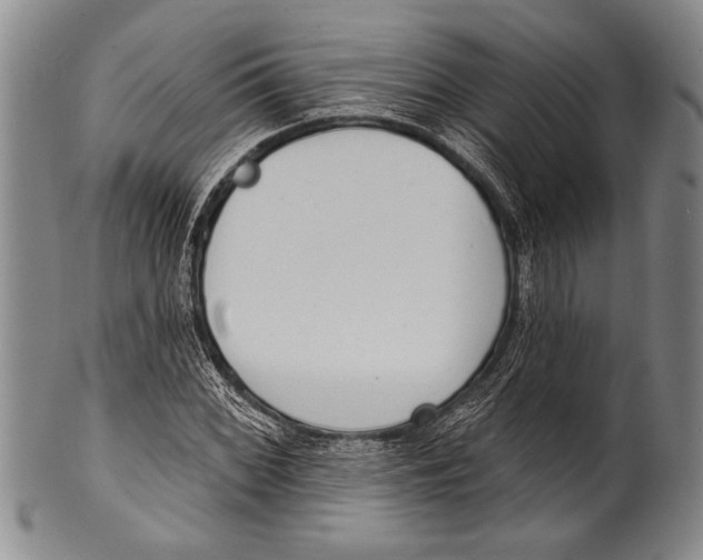 X0000100331068200806261256