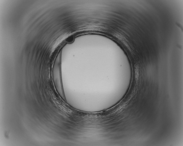 X0000100331069200806261256