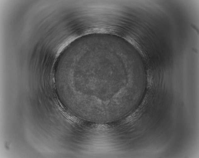 X0000100331070200806261256