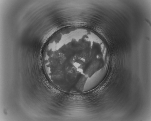 X0000100331071200806261256