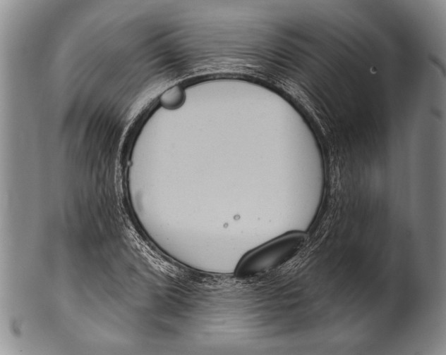 X0000100331072200806261256