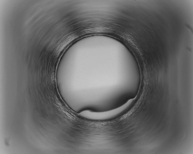 X0000100331073200806261256