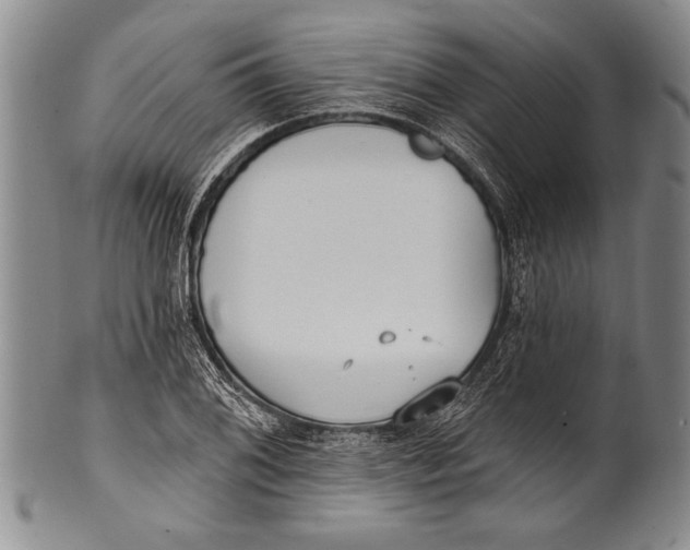 X0000100331076200806261256