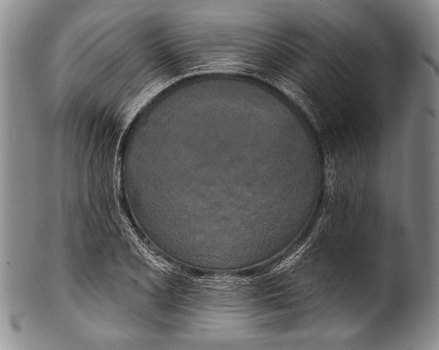 X0000100331077200806261256