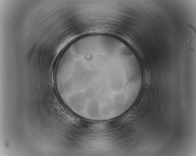 X0000100331078200806261256