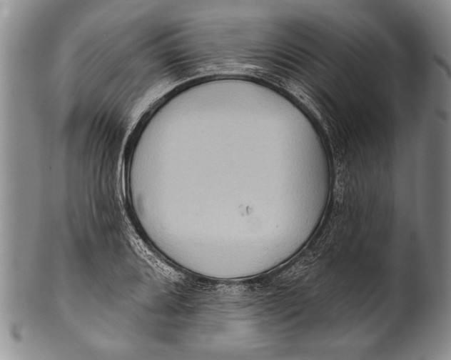 X0000100331080200806261256