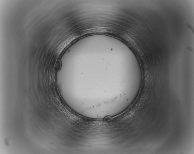 X0000100331081200806261256