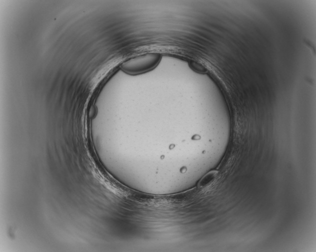 X0000100331082200806261256