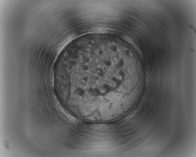 X0000100331083200806261256