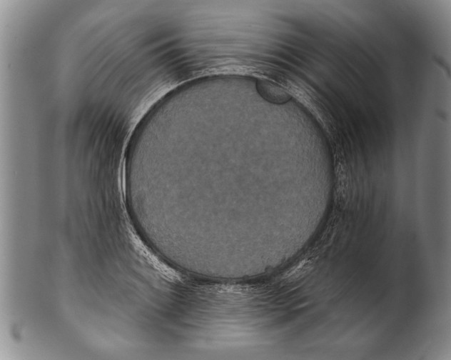 X0000100331084200806261256