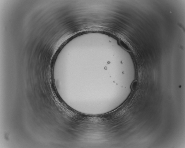 X0000100331085200806261256