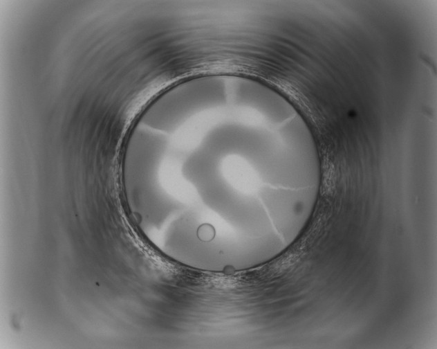 X0000100331086200806261256